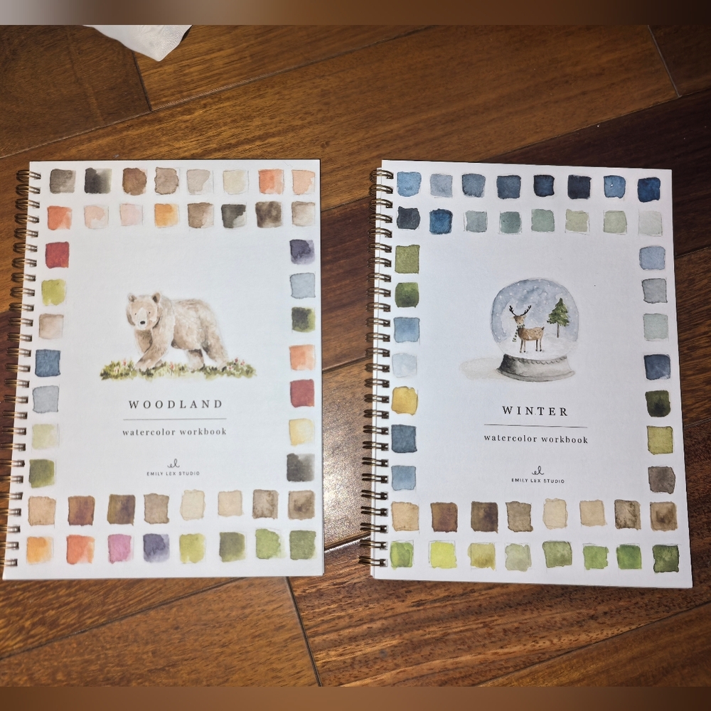 2 Emily Lex Studio woodland and winter watercolor workbooks, great holiday gift